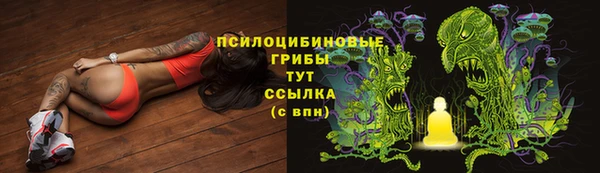 скорость Алексин