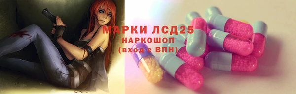 индика Алзамай