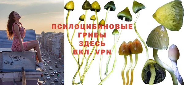 индика Алзамай